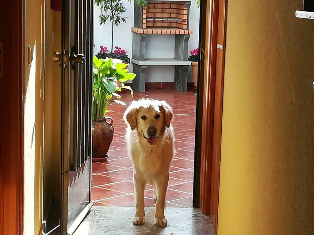 Casa Rural La Herencia Alía Екстериор снимка